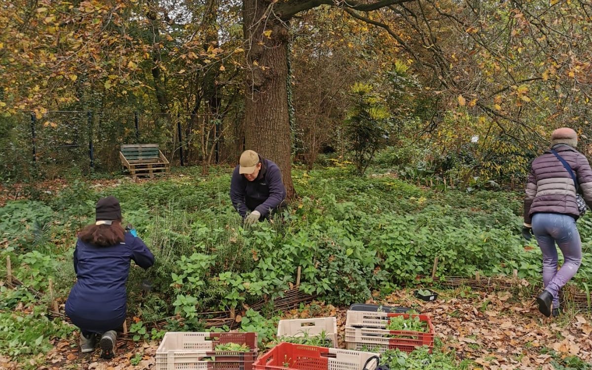 Affiche : Chantier permaculture