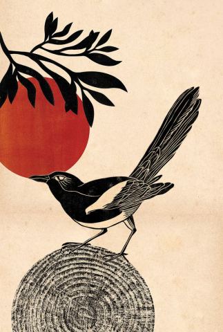 Affiche : La Pie qui dit, La Matière, 29 oct.