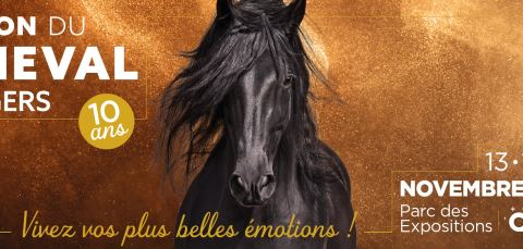 Affiche : Salon du Cheval d'Angers 2026 | 10 ans, Salon du Cheval d'Angers, 13 nov.
