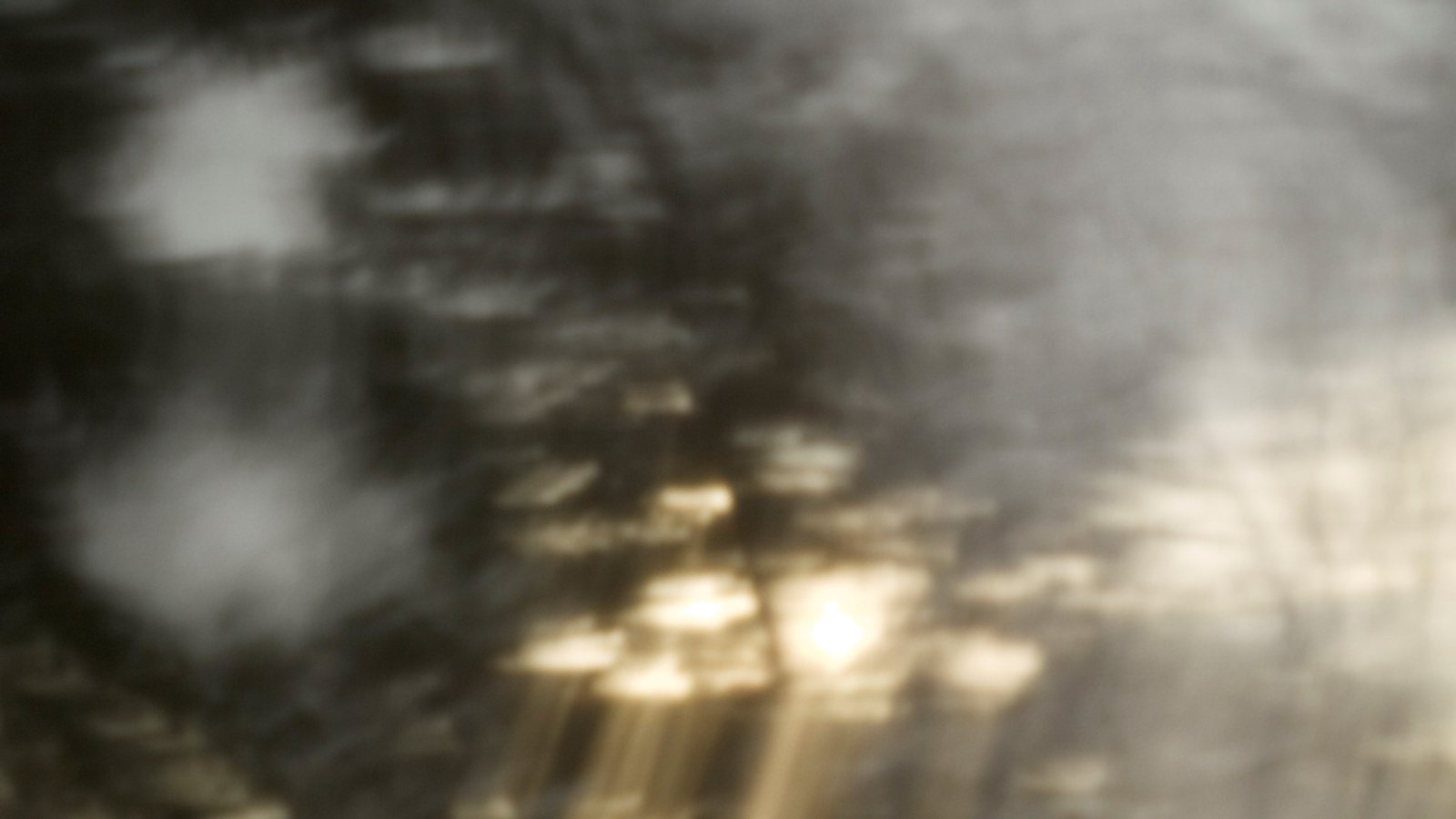 Poster: Wenda Salomons: gesture