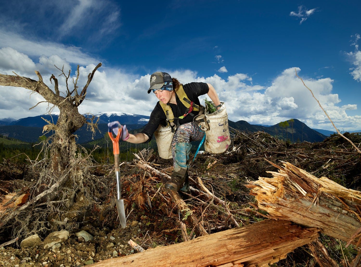 Poster: Rita Leistner: The Tree Planters