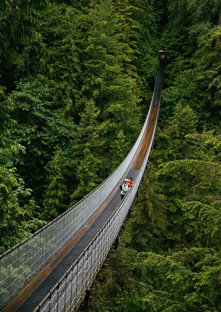 Capilano Suspension Bridge Park