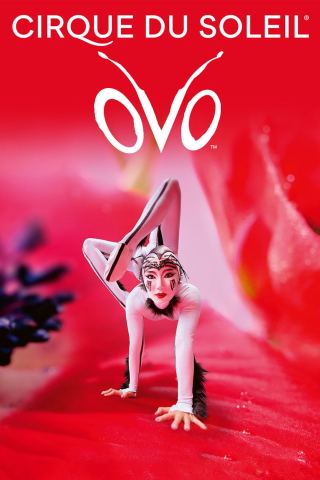 Poster: Cirque du soleil, Zénith de Strasbourg Europe, Nov 5