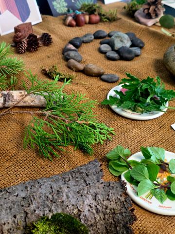 Poster: Poetry & Nature Connection Workshop, Doris McCarthy Gallery, Nov 18