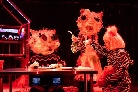 ポスター：市原佐都子／Q「キティ」, Sapporo Cultural Arts Community Center SCARTS, 10月31日
