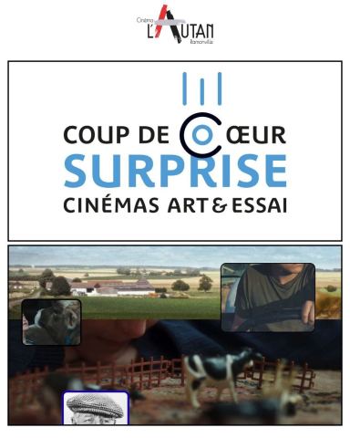 Poster: Film Surprise COUP DE COEUR AFCAE, Cinéma L'Autan, Nov 3