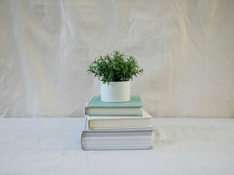 Poster: Photographie : Un livre, une plante, Bibliothèque Roseraie, Oct 8
