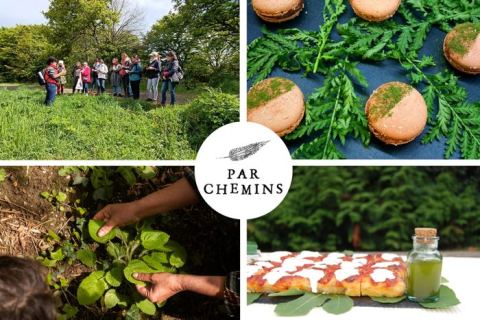 Affiche : Cuisinez vos bouchées apéritives et cocktail à base de plantes sauvages, Salle des Cartoucheries, 14 nov.