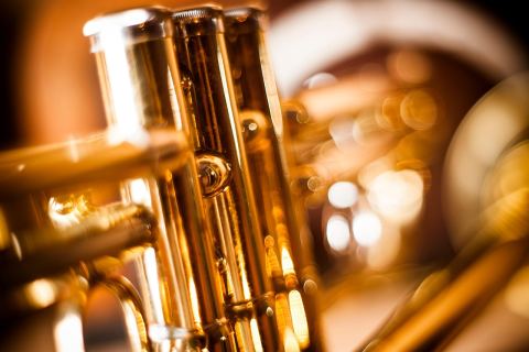 Plakát: Koncert trubkové třídy prof. Hofbauera, Komorní sál Pálffyovský palác, 4. 11.