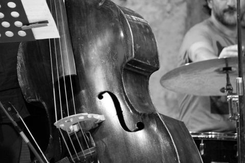 Plakát: Koncert kontrabasové třídy Jiřího Valenty, Komorní sál Pálffyovský palác, 11. 11.