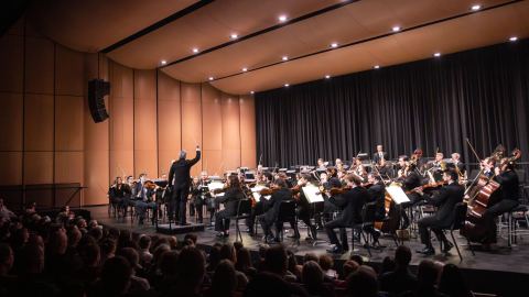 Poster: Symphony in South Winnipeg, Winnipeg Symphony Orchestra, Nov 20