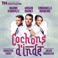 Affiche : Cochons d’Inde, Radiant-Bellevue, 7 nov.