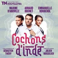 Affiche : Cochons d’Inde