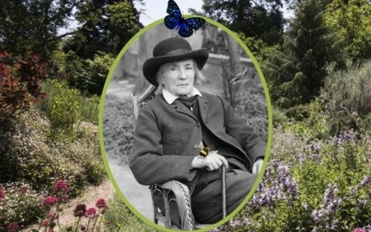 Affiche : Exposition Jean-Henri Fabre