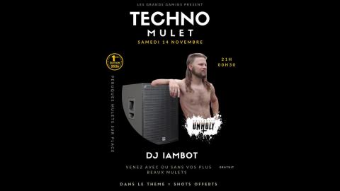 Affiche : 💃🪩 TECHNO MULET 🪩🕺, Les Grands Gamins, 14 nov.