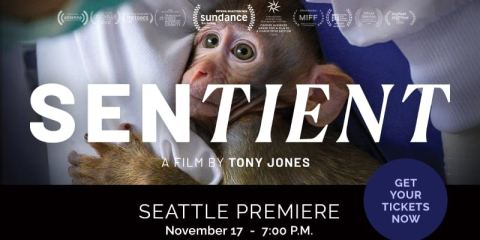 Poster: Sentient, Town Hall Seattle, Nov 17