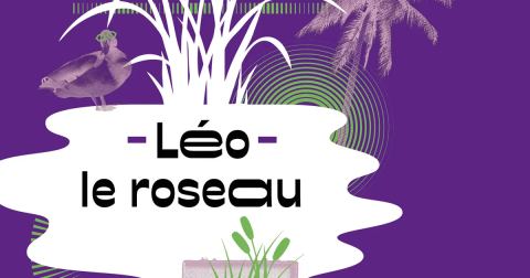Affiche : Rendez-vous Conte #1 Léo le roseau, Auditorium de la Cité des arts, 7 nov.