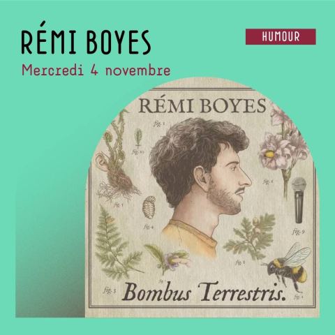 Poster: Rémi Boyes - Bombus Terrestris