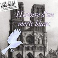 Affiche : Histoire d'Un Merle Blanc, Théâtre du Nord-Ouest, 25 oct.