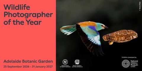 Poster: Wildlife Photographer of the Year, Adelaide Botanic Garden, Oct 12