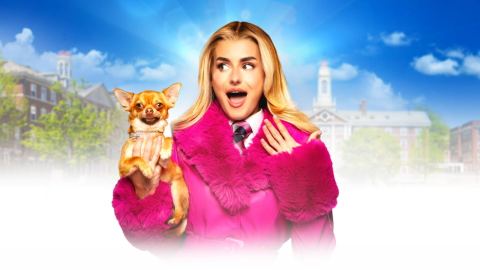 Poster: Legally Blonde, Opera House Manchester, Nov 3