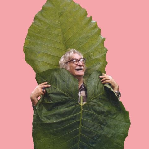 Poster: Roberto Burle Marx. Modernismo tropical, Zentrum Paul Klee, Oct 17