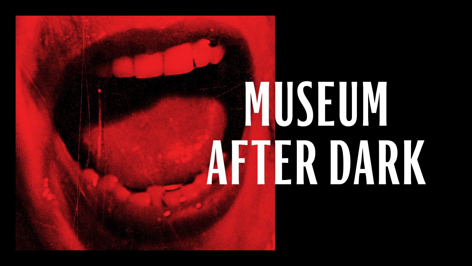 Poster: Museum After Dark