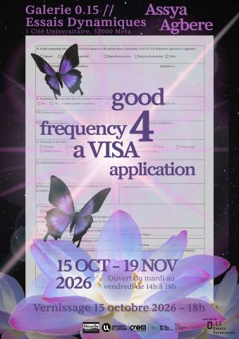 Affiche : good frequency 4 a VISA application, Galerie 0.15 - Essais Dynamiques, 15 oct.