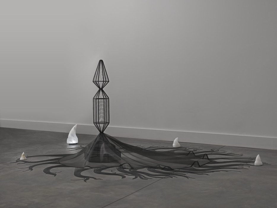 Poster: Focus Gallery: Afruz Amighi: Sounding Shell