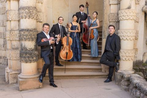 Plakat: Dresdner Residenz Orchester – Vivaldi: Die vier Jahreszeiten, Laeiszhalle, 15. Nov.