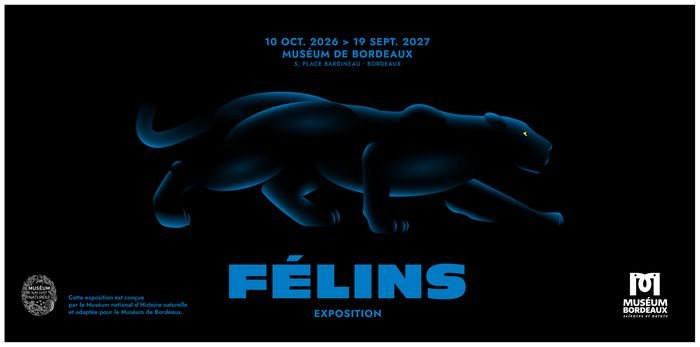 Poster: Exposition Félins