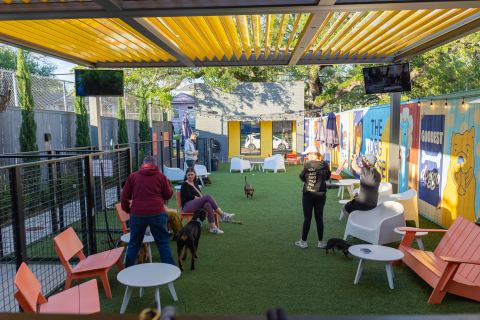 Dog House
