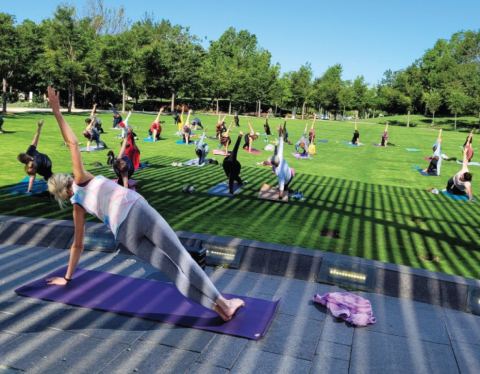 Poster: Myriad in Motion: FREE Yoga, Devon Lawn and Bandshell, Oct 31