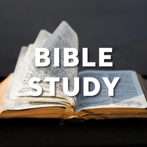 Bible Study