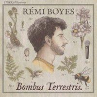 Poster: Rémi Boyes - Bombus Terrestris, La Cabane (Halles de la Cartoucherie), Nov 4