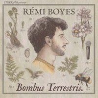 Poster: Rémi Boyes - Bombus Terrestris