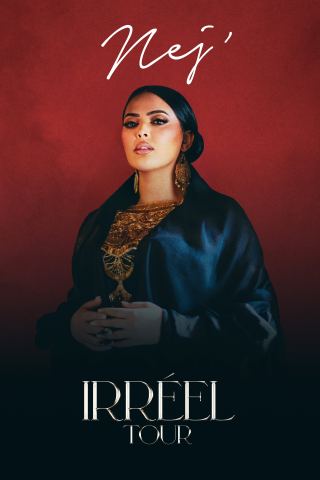 Poster: NEJ, Le Zénith de Dijon, Oct 31