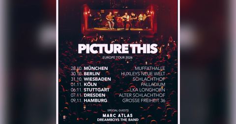 Plakat: Picture This, Große Freiheit 36, 9. Nov.