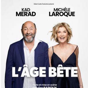 Affiche : Michele Laroque Et Kad Merad, Le Cepac Silo, 21 nov.