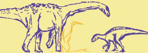 Affiche : Dinosaures de Provence, Muséum d'histoire naturelle de Marseille, 10 oct.