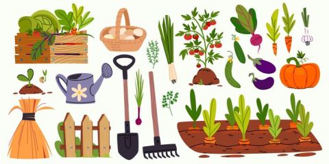 Affiche : Atelier : Créer votre potager perpétuel, La Maison, 5 nov.