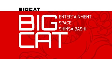 BIGCAT