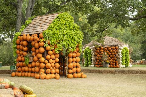 Poster: Cheekwood Harvest, Cheekwood Estate & Gardens, Sep 19