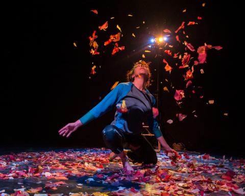 Affiche : Cie Soleil Sous La Pluie, Théâtre Les Docks, 12 nov.