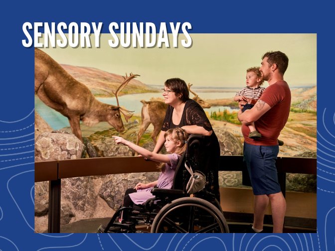 Poster: Sensory Sundays