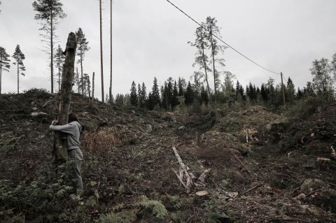 Juliste: Valokuvanäyttely, Malmin kirjasto, 5.10.