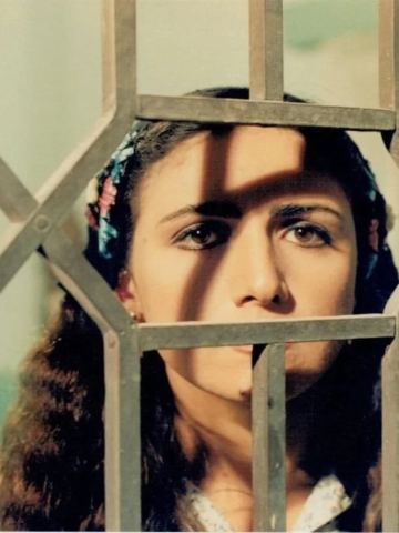 Poster: PALESTINE CINEMA DAYS: Return to Haifa, 4 Star Theater, Nov 2