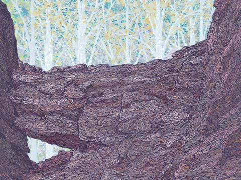 Affiche : Le Mur, La Filature, 5 nov.