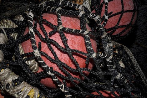 Poster: Trawl - Photography by Jackson Chihuly