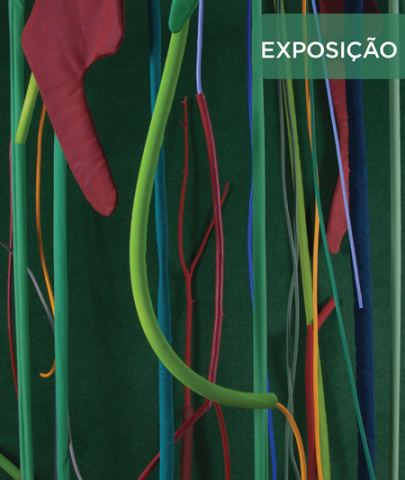 Cartaz: O Mote do Mundo é a Floresta, Museu Nacional Soares dos Reis, 17/10